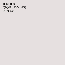 #E6E1E0 - Bon Jour Color Image